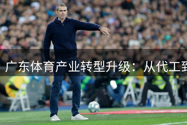 广东体育产业转型升级：从代工到品牌的新赛道